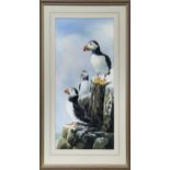 THREE PUFFINS, A WATERCOLOUR BY HEATHER M INSH