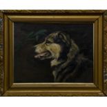 COLLIE, AN OIL BY CHRIS MCGREGGOR