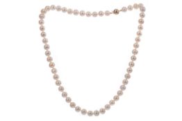 A PEARL NECKLACE