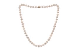 A PEARL NECKLACE