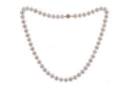 A PEARL NECKLACE