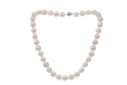 A PEARL NECKLACE