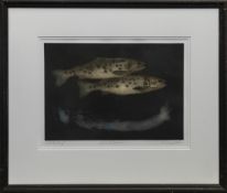 TROUT, AN ETCHING BY BOB WYATT