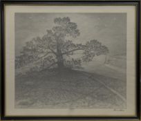 THE TREE, A PRINT BY HANS HOLM