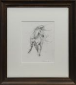 HORSE SKETCH, A PENCIL BY LYDIA KIERNAN