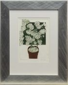 GERANIUM, AN ETCHING BY CAT OUTRAM