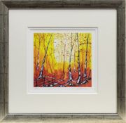 BIRCHWOODS AT POLTALLOCH ESTATE, ARGYLL, A PRINT BY JOHN DAMARI