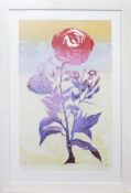 BLAKEAN ROSE, A PRINT BY ELSPETH LAMB