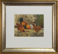 TWO WATERCOLOURS OF HENS BY SUSAN MITCHELL