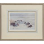 WIDGEON, TEAL, A LITHOGRAPH BY ARCHIBALD THORNBURN