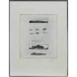 DISAPPEARING LANDSCAPES, AN ETCHING BY STUART DUFFIN