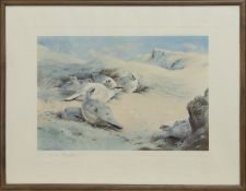 PTARMIGAN, A LITHOGRAPH BY ARCHIBALD THORBURN