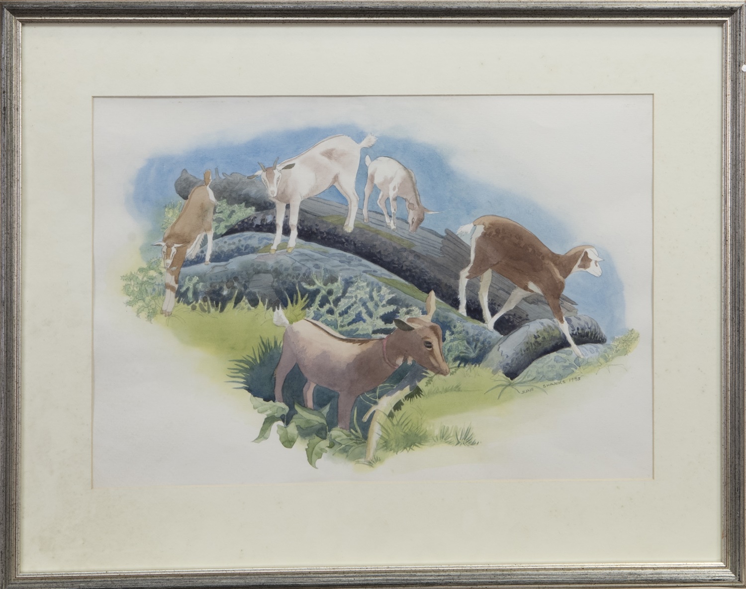 GOATS AT DUCHAL, A WATERCOLOUR BY JUNE SHANKS