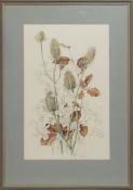 SCOTTISH BOTANICS, A WATERCOLOUR BY MARY MCMURTRIE