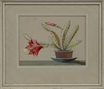 DESERT FLOWER, A GOUACHE BY LEONARD SMITH