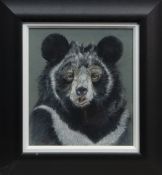 BEAR, A MIXED MEDIA