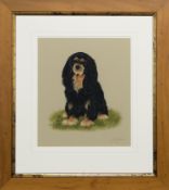 KING CHARLES SPANIEL, A WATERCOLOUR BY JAN FERGUSON