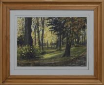 ARTHURLIE PARK -BARRHEAD, A PASTEL BY A WATT