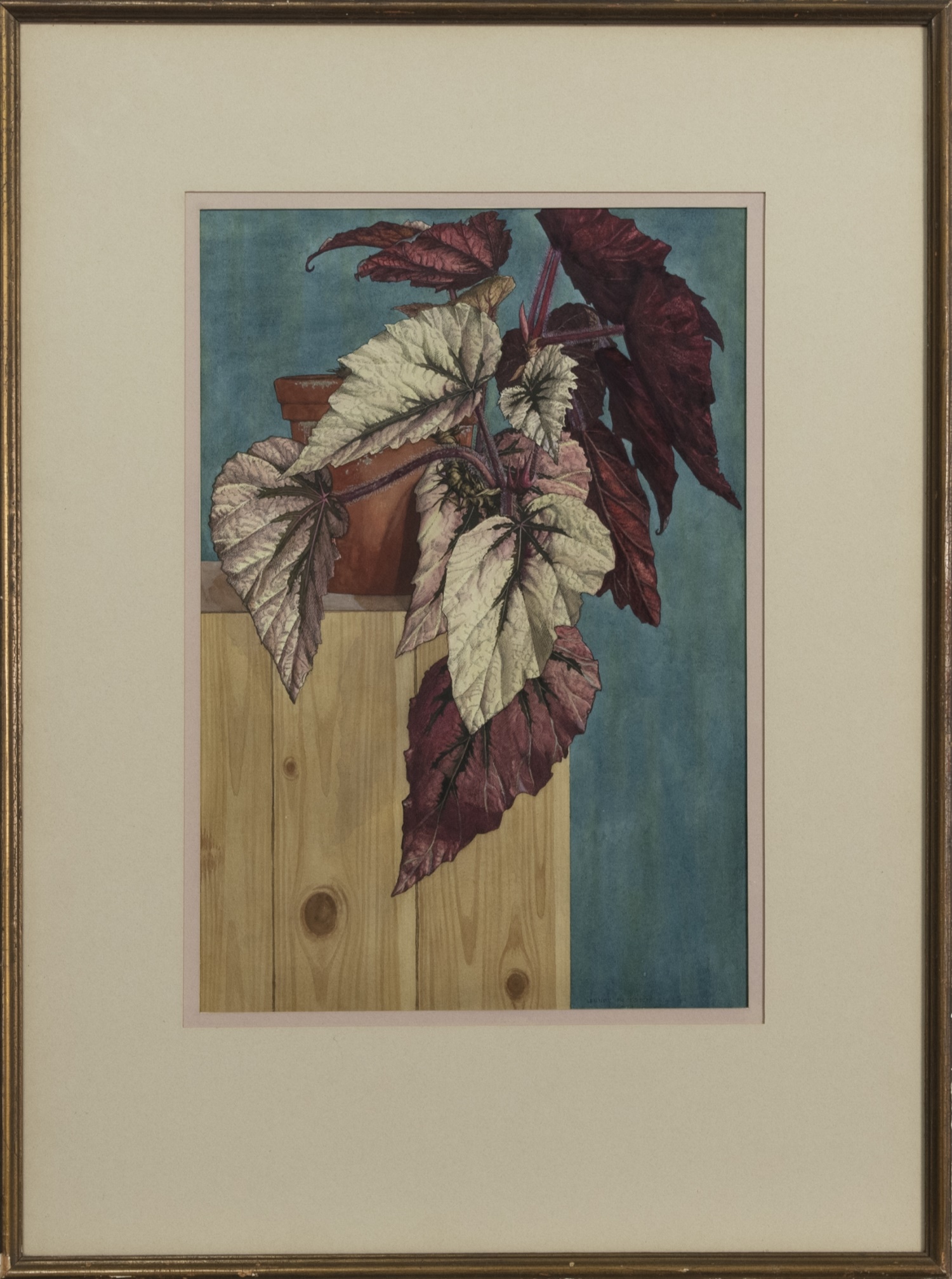 BEGONIA, A MIXED MEDIA BY LENNOX PATERSON