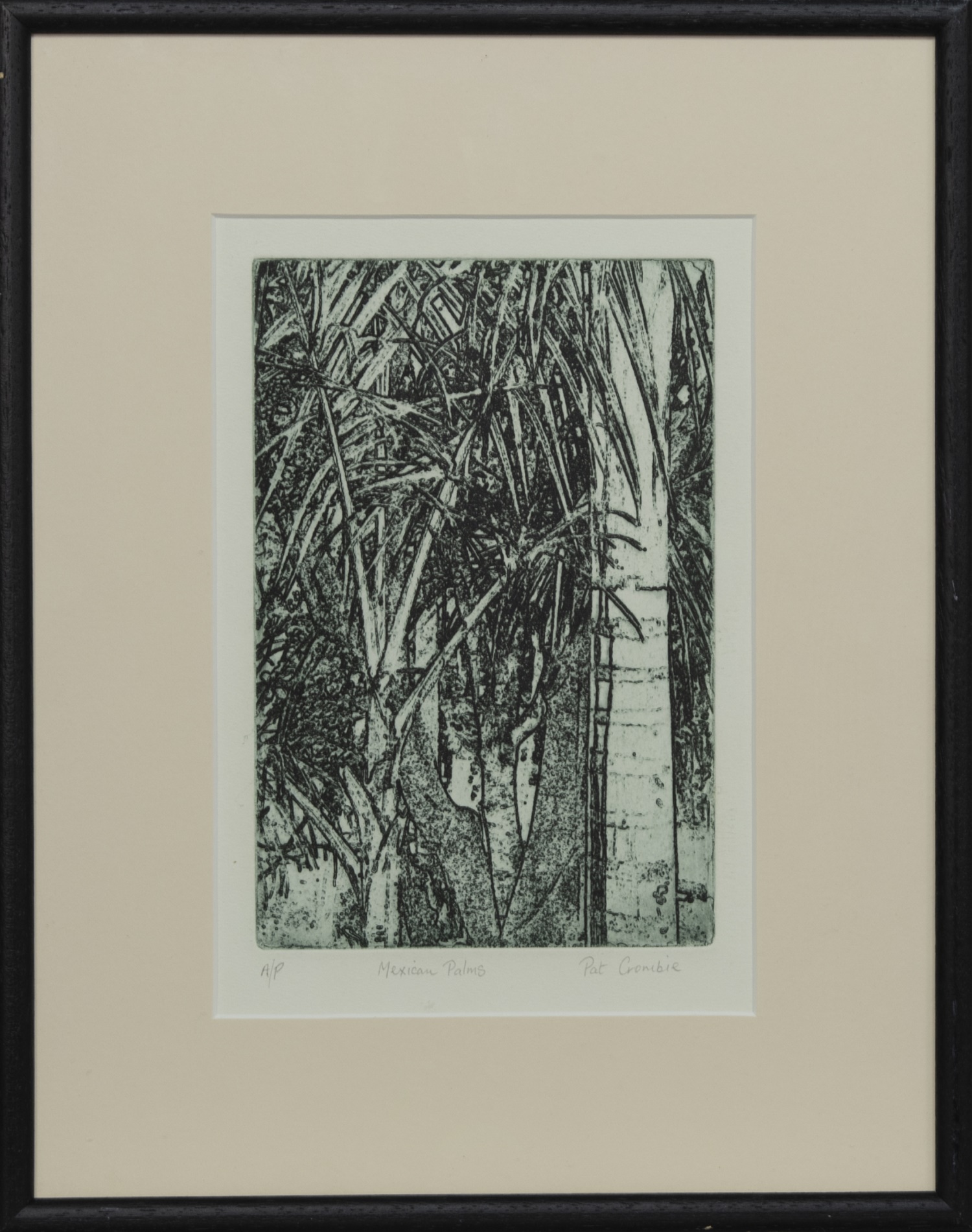 MEXICAN PALMS, AN ETCHING BY PAT CROMBIE