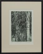 MEXICAN PALMS, AN ETCHING BY PAT CROMBIE