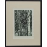 MEXICAN PALMS, AN ETCHING BY PAT CROMBIE