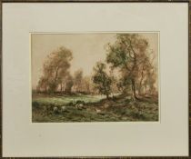SHEEP IN A GLADE, A WATERCOLOUR BY TOM CAMPBELL
