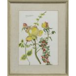 FLORAL STUDY, A WATERCOLOUR BY G A MATHESON