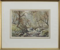 AUTUMN SPATE ON A PITLOCHRY BURN, A WATERCOLOUR BY TOM CAMPBELL