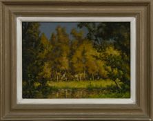 TREES BY A STREAM, AUTUMN, AN OIL BY DAVID MURRAY