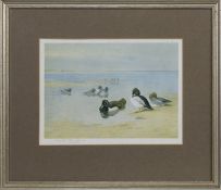GOLDENEYE AND TUFTED DUCK, A PRINT BY ARCHIBALD THORBURN