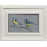 BLUE TIT BUDDIES, AN OIL BY LYNNE JOHNSTONE