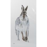 MOUNTAIN HARE, A COLOUR PRINT BY GILL DAVIES