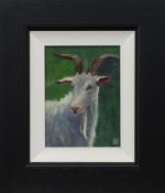 GOAT, AN OIL BY ZHANNA PECHUGINA