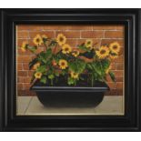 SUNFLOWERS IN A BLACK PLANTER TROUGH, AN OIL BY GRAHAM MCKEAN