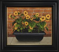 SUNFLOWERS IN A BLACK PLANTER TROUGH, AN OIL BY GRAHAM MCKEAN