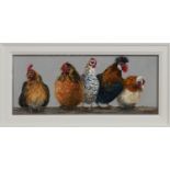 5 HENS-A-CLUCKING, AN OIL BY LYNNE JOHNSTONE