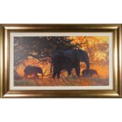 BACKLIT GOLD, A CANVAS PRINT BY ROLD HARRIS