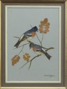 BRAMBLEFINCHES, A GOUACHE BY RALSTON GUDGEON