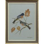 BRAMBLEFINCHES, A GOUACHE BY RALSTON GUDGEON