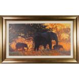 BACKLIT GOLD, A CANVAS PRINT BY ROLF HARRIS