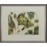 SPRING: FLOWERS IN A BORDERS WOOD, A PRINT BY VICTORIA CROWE