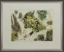 SPRING: FLOWERS IN A BORDERS WOOD, A PRINT BY VICTORIA CROWE