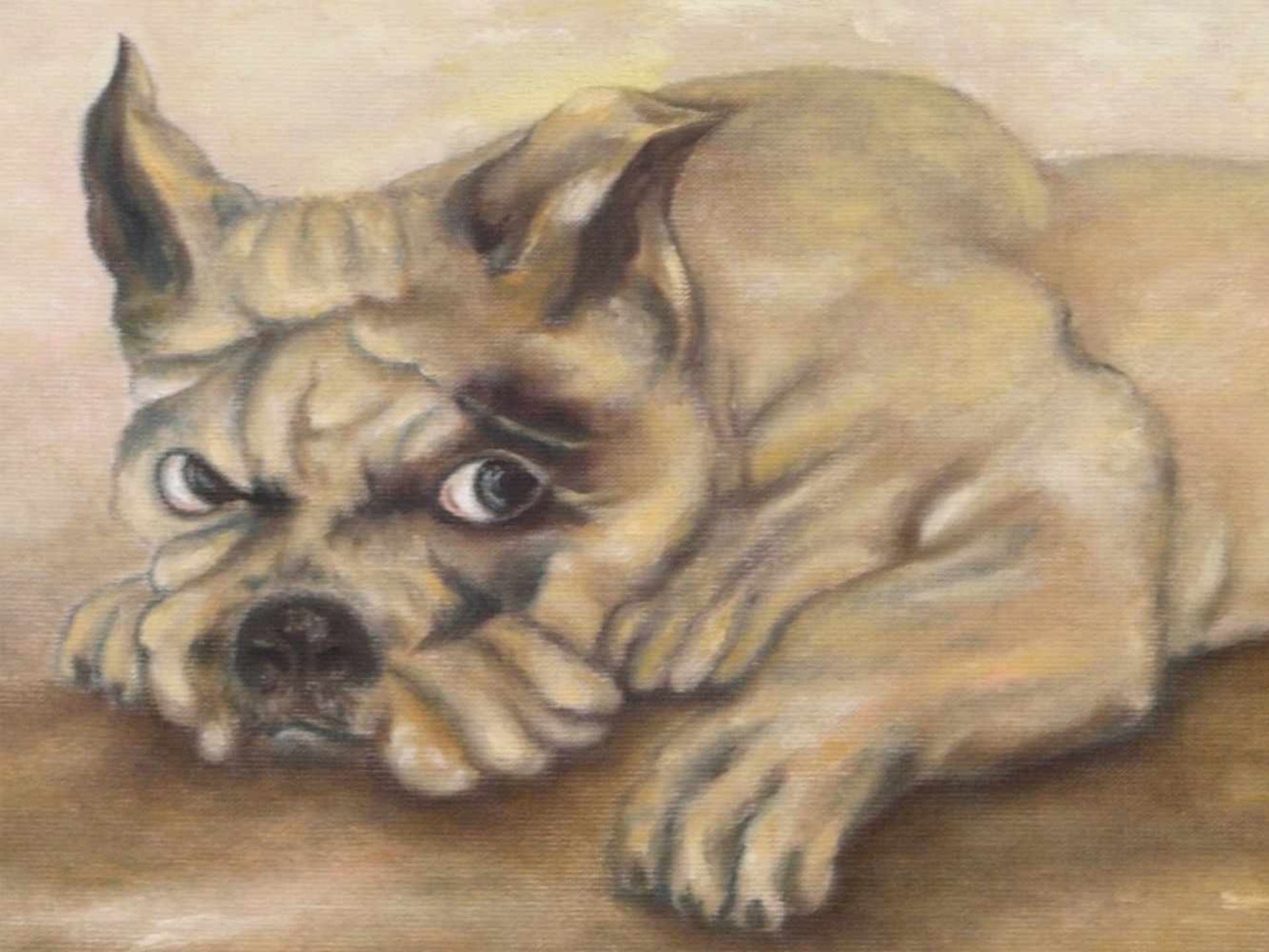 Unsigniert - Portrait einer Französischen Bulldogge - Bild 6 aus 10