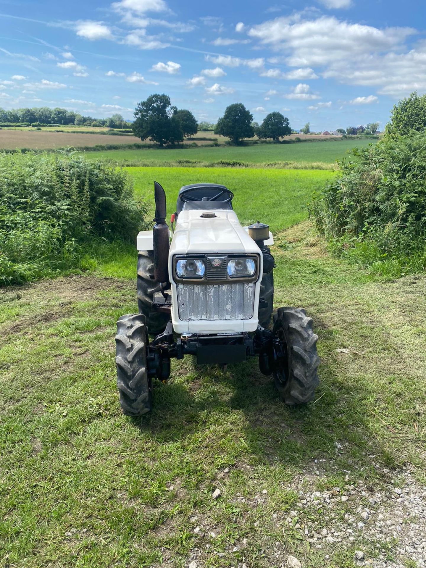 YANMAR YM169D COMPACT TRACTOR, RUNS AND DRIVES, 3 FORWARD GEARS AND REVERSE, PTO SPINS *NO VAT* - Image 2 of 6