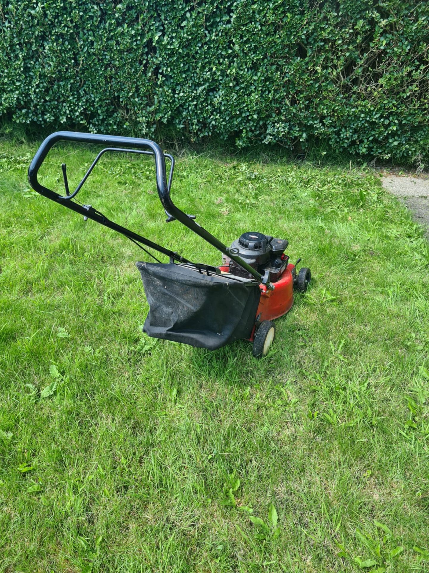 MOUNTFIELD PETROL MOWER *NO VAT* - Image 4 of 4