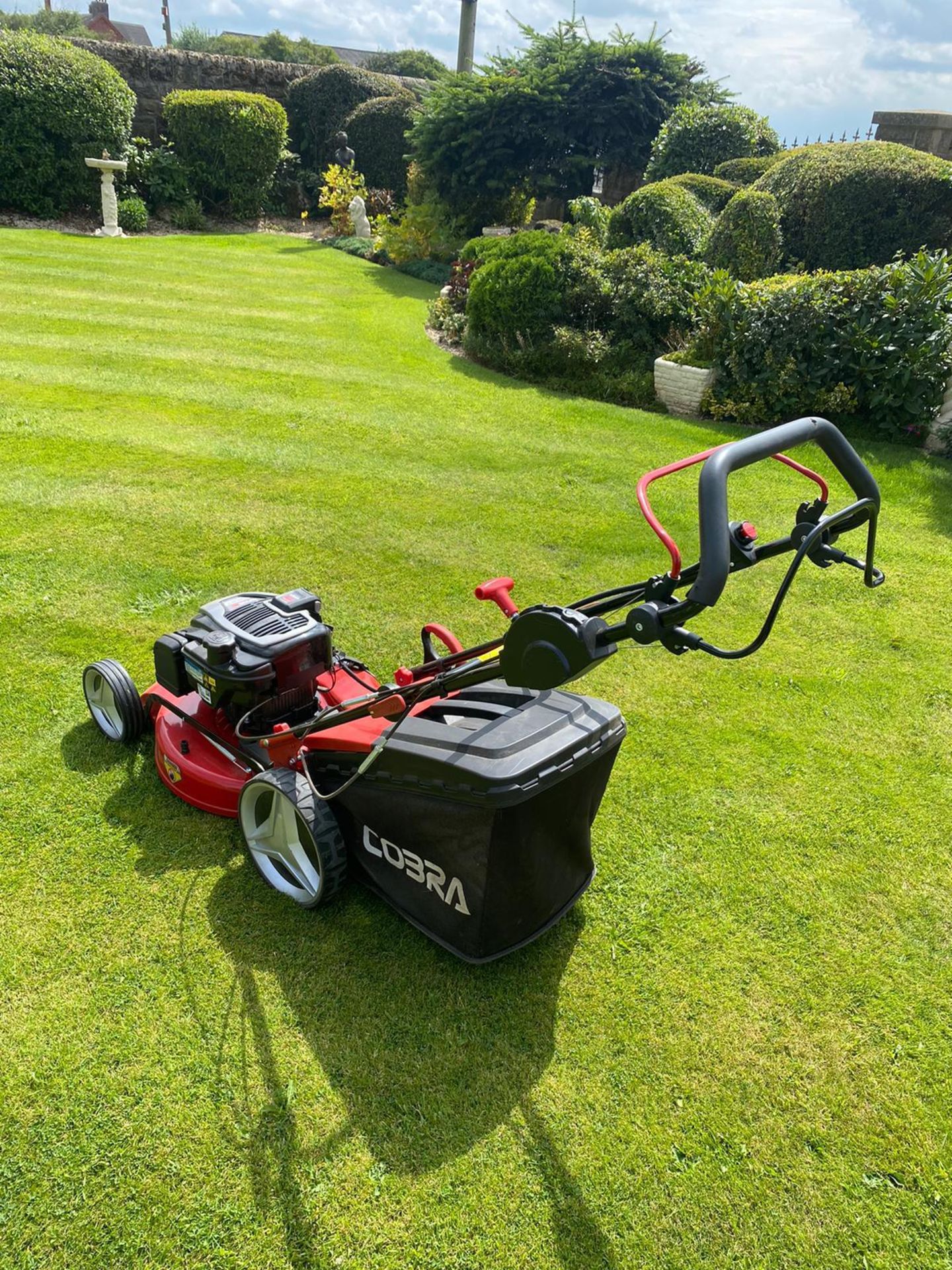 NEW AND UNUSED COBRA MX515SPBI LAWN MOWER, ELECTRIC START, 20" DECK, MANUAL INCLUDED *NO VAT* - Image 4 of 6