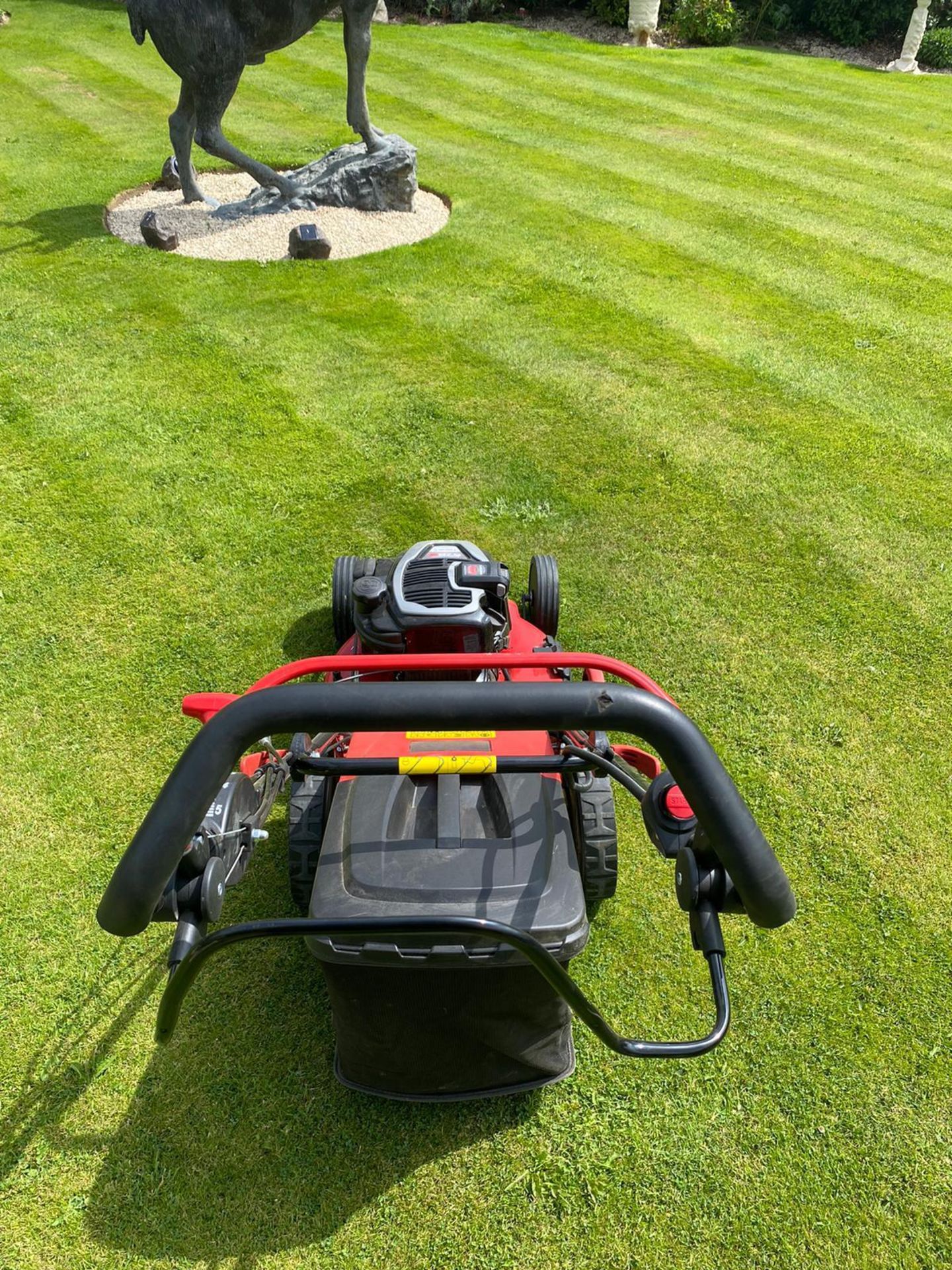 NEW AND UNUSED COBRA MX515SPBI LAWN MOWER, ELECTRIC START, 20" DECK, MANUAL INCLUDED *NO VAT* - Image 5 of 6