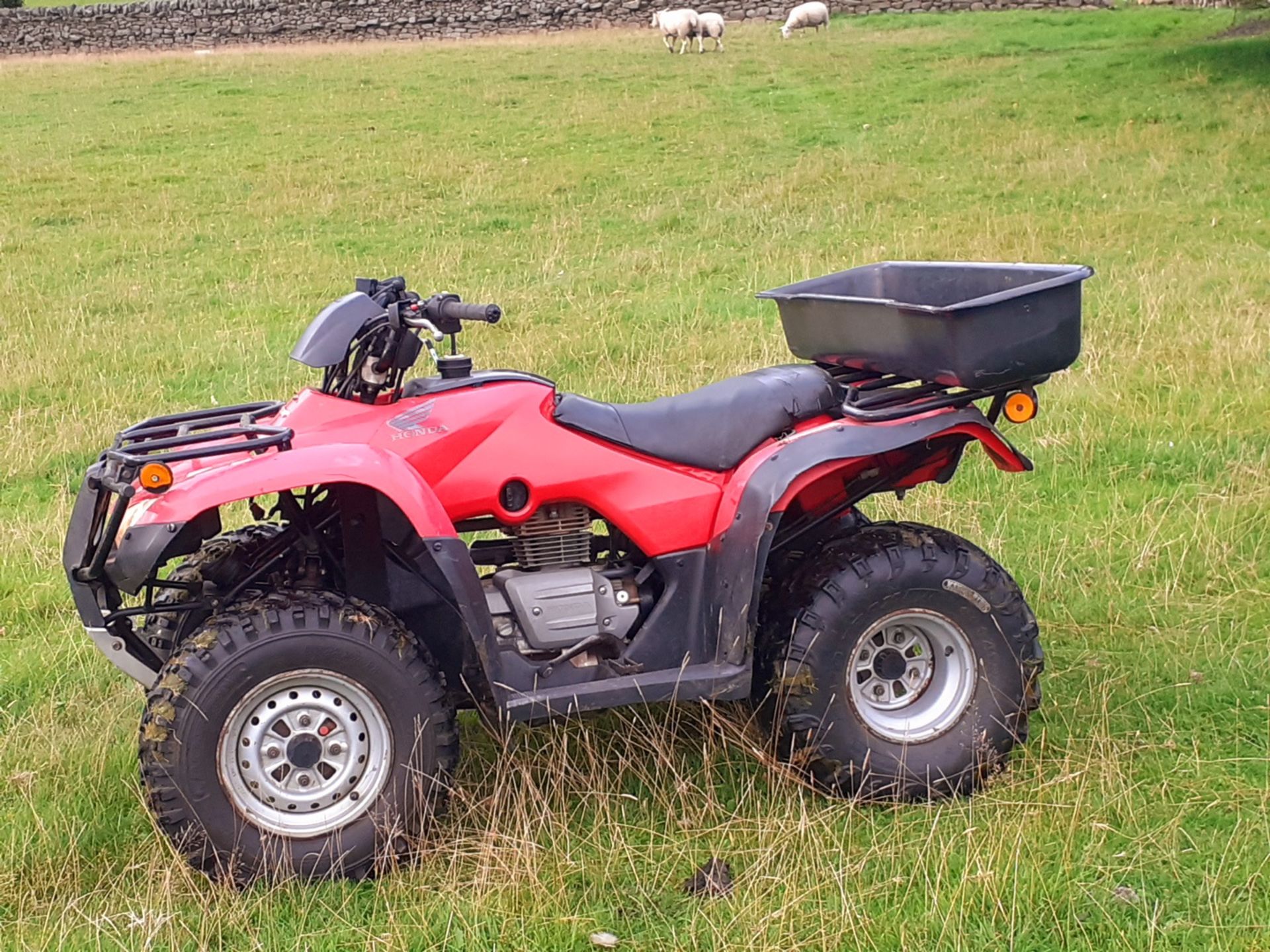 2009 HONDA FOURTRAX TRX 250 FARM QUAD BIKE, 1389 HOURS, MANUAL GEAR SHIFT WITH REVERSE *NO VAT* - Image 5 of 9