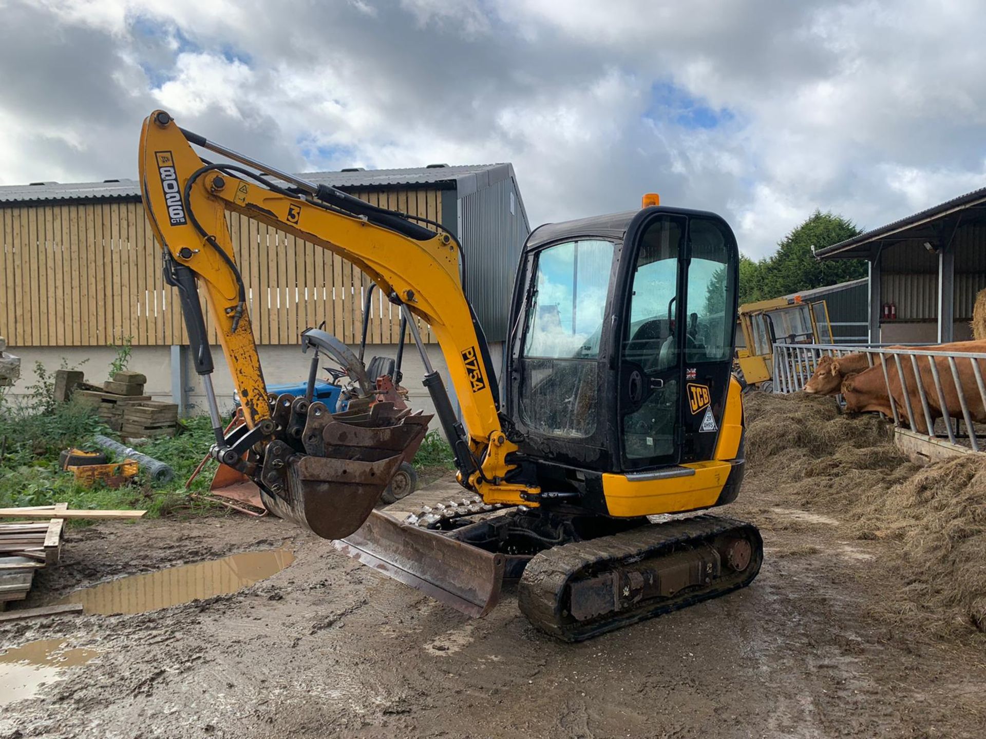 2013 JCB 8026 2.6 TON DIGGER, RUNS DRIVES AND DIGS, SHOWING A LOW AND GENUINE 3379 HOURS *PLUS VAT* - Image 4 of 49